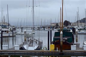 San Francisco's Yacht Harbor