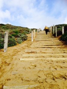 Trails from Baker Beach Bathrooms vary from beachside strolls to high intensity work outs.