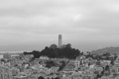 #cityscapes #coittower